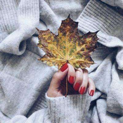 澳门黄金城手机app下载