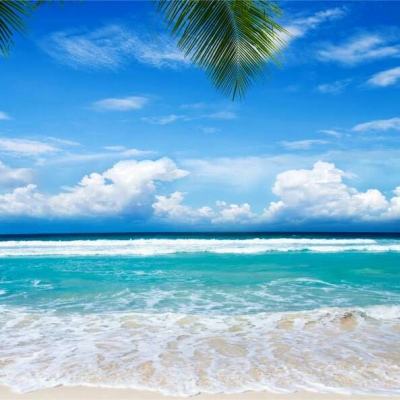 金年会最新官网下载