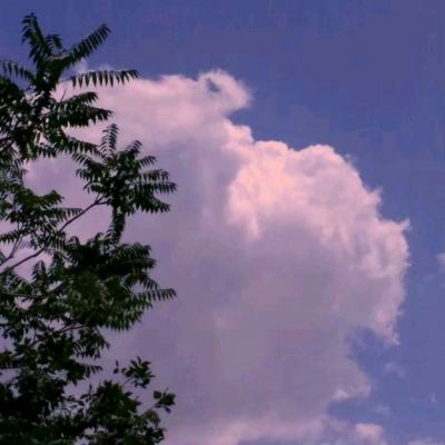 云开平台app最新版手机app下载